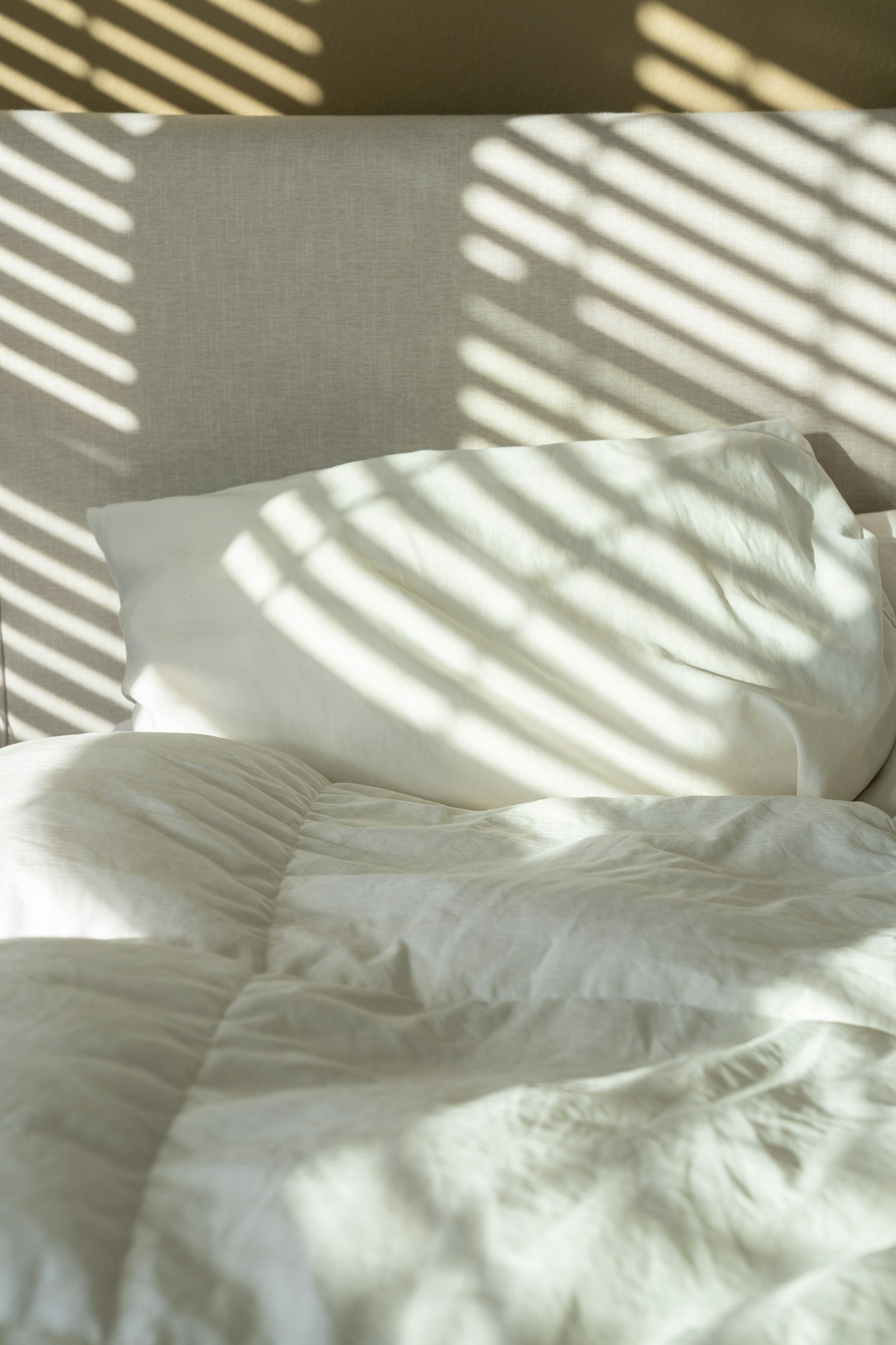Bedsheet Fabric